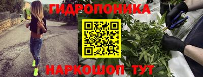 спайс Кунгур