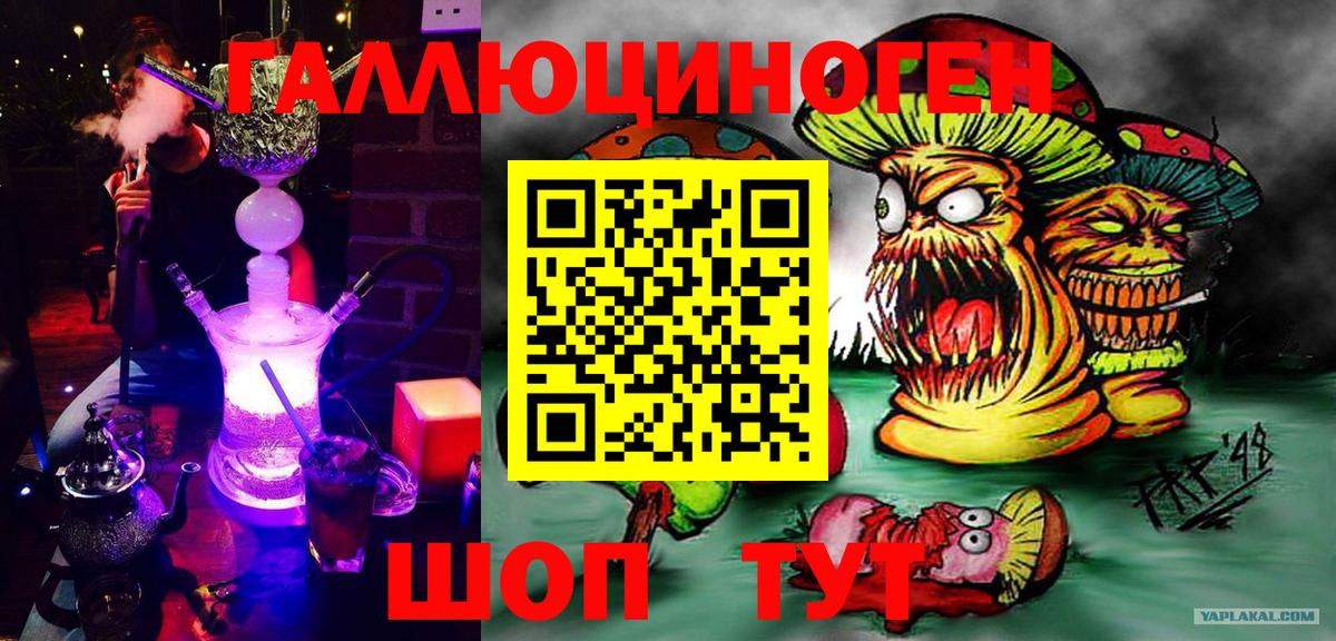 Галлюциногенные грибы мухоморы Гусев