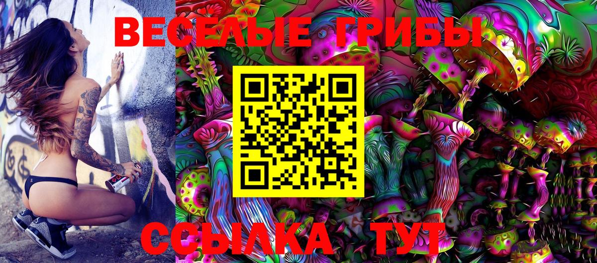 Галлюциногенные грибы ЛСД  Псилоцибиновые грибы Magic Shrooms  Вход с VPN  Гусев 